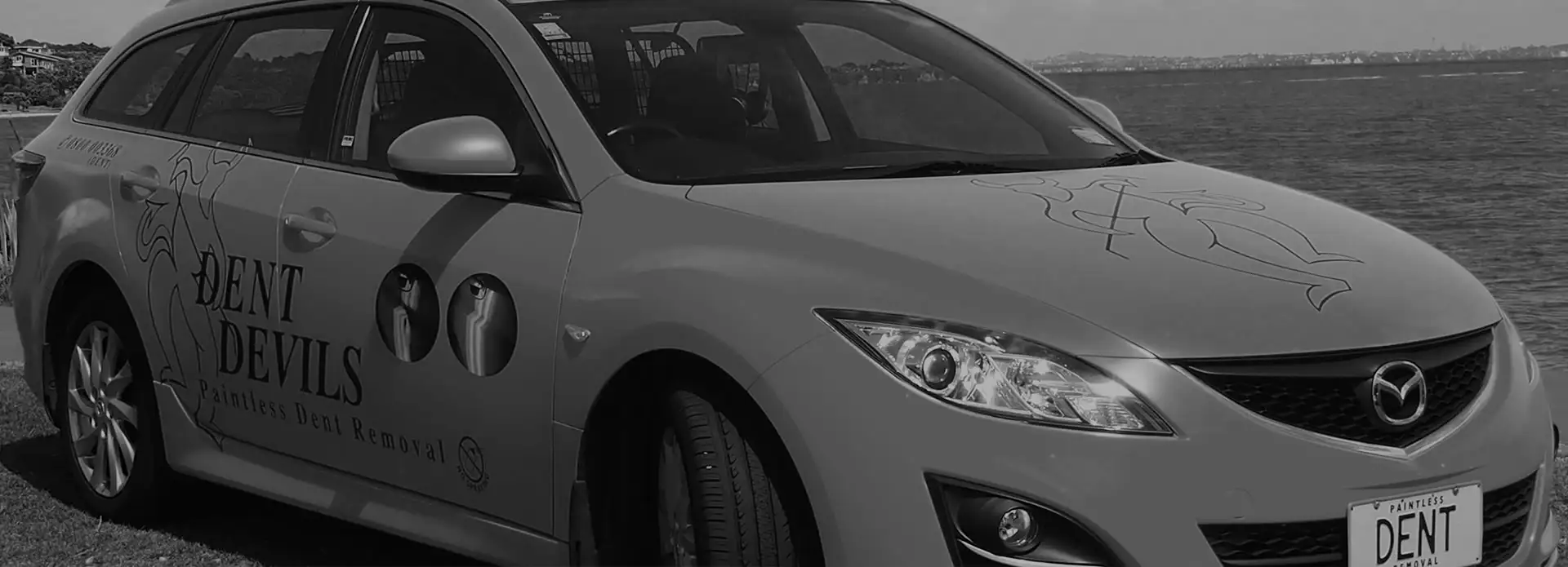 Paintless Dent Removal